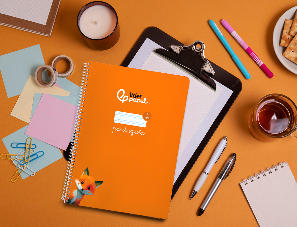 CUADERNO ESPIRAL LIDERPAPEL A4 PAUTAGUIA TAPA BLANDA 80H 75GR CUADRO PAUTADO 3MM COLOR NARANJA