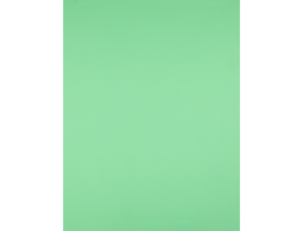 CARTULINA LIDERPAPEL 50X65 CM 180G/M2 VERDE HIERBA PAQUETE DE 25 HOJAS